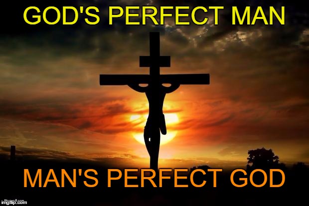 Jesus on the cross | GOD'S PERFECT MAN; MAN'S PERFECT GOD | image tagged in jesus on the cross | made w/ Imgflip meme maker