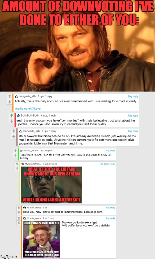 AMOUNT OF DOWNVOTING I'VE DONE TO EITHER OF YOU: | made w/ Imgflip meme maker