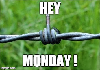 fence finger | HEY; MONDAY ! | image tagged in fence finger barbed wire | made w/ Imgflip meme maker