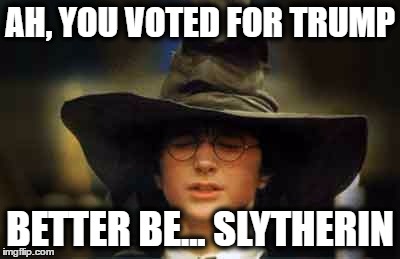 The sorting hat KNOWS | AH, YOU VOTED FOR TRUMP; BETTER BE... SLYTHERIN | image tagged in harry potter sorting hat,trump,slytherin,memes,funny memes,funny because it's true | made w/ Imgflip meme maker