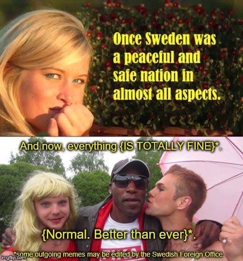 Sweden yes! | And now, everything {IS TOTALLY FINE}*. {Normal. Better than ever}*. *some outgoing memes may be edited by the Swedish Foreign Office. | image tagged in sweden | made w/ Imgflip meme maker