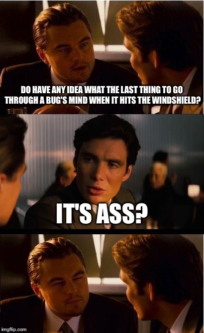 Inception Meme | DO HAVE ANY IDEA WHAT THE LAST THING TO GO THROUGH A BUG'S MIND WHEN IT HITS THE WINDSHIELD? IT'S ASS? | image tagged in memes,inception | made w/ Imgflip meme maker