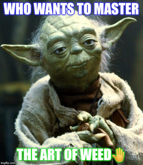 Star Wars Yoda | WHO WANTS TO MASTER; THE ART OF WEED🤚 | image tagged in memes,star wars yoda | made w/ Imgflip meme maker