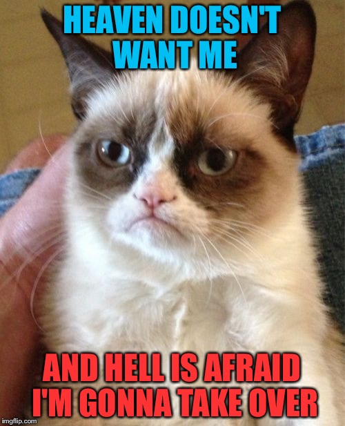 Grumpy Cat Meme | HEAVEN DOESN'T WANT ME; AND HELL IS AFRAID I'M GONNA TAKE OVER | image tagged in memes,grumpy cat | made w/ Imgflip meme maker