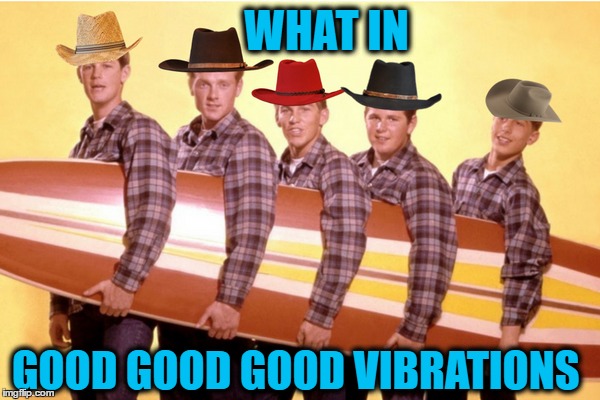 Whippersnappers don't know the Beach Boys  | WHAT IN; GOOD GOOD GOOD VIBRATIONS | image tagged in beach boys,good vibes,what in tarnation,memes | made w/ Imgflip meme maker