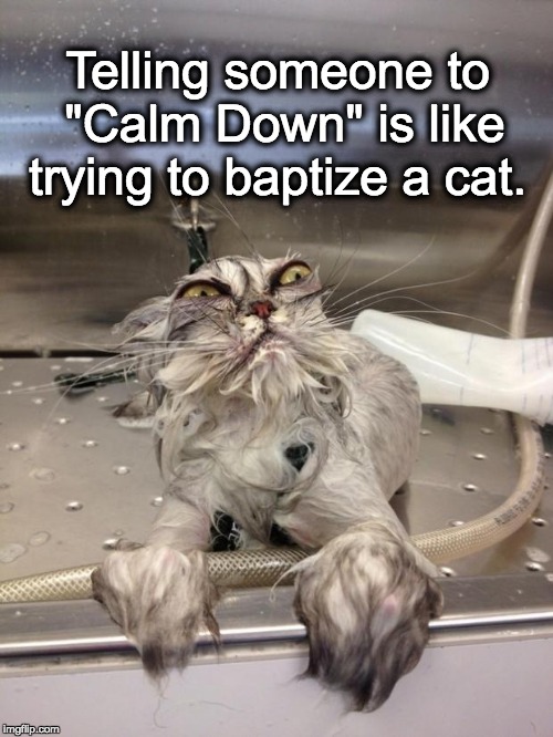 Angry Wet Cat | Telling someone to "Calm Down" is like trying to baptize a cat. | image tagged in angry wet cat | made w/ Imgflip meme maker