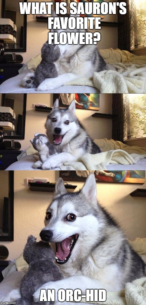 Bad Joke Dog | WHAT IS SAURON'S FAVORITE FLOWER? AN ORC-HID | image tagged in bad joke dog | made w/ Imgflip meme maker