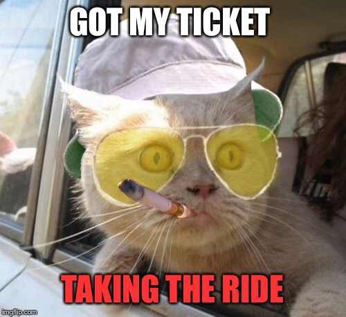 Ticket to ride | GOT MY TICKET; TAKING THE RIDE | image tagged in memes,fear and loathing cat | made w/ Imgflip meme maker