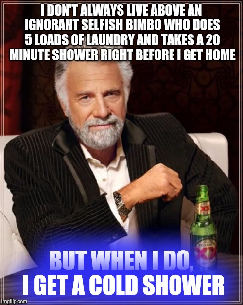 True story doingbat | I DON'T ALWAYS LIVE ABOVE AN IGNORANT SELFISH BIMBO WHO DOES 5 LOADS OF LAUNDRY AND TAKES A 20 MINUTE SHOWER RIGHT BEFORE I GET HOME; BUT WHEN I DO, I GET A COLD SHOWER | image tagged in memes,the most interesting man in the world | made w/ Imgflip meme maker
