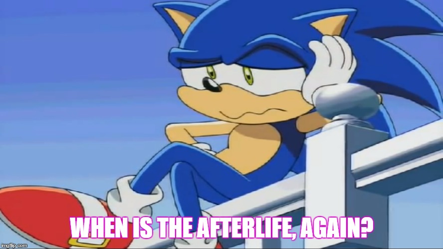 Impatient Sonic - Sonic X | WHEN IS THE AFTERLIFE, AGAIN? | image tagged in impatient sonic - sonic x,jk,jokes,afterlife | made w/ Imgflip meme maker