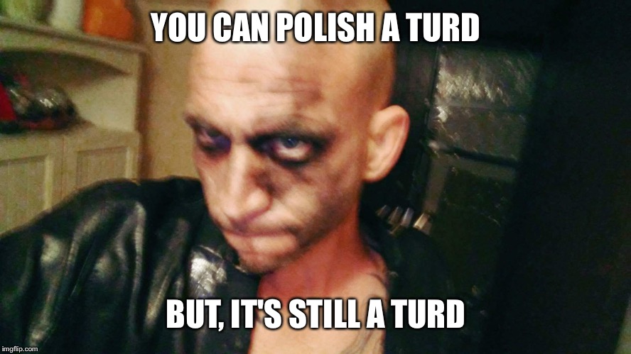 Polished Turd | YOU CAN POLISH A TURD; BUT, IT'S STILL A TURD | image tagged in polished turd,ugly stick | made w/ Imgflip meme maker