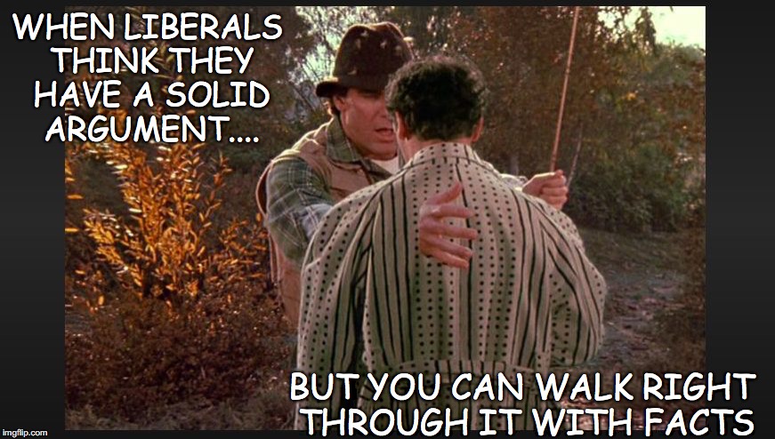 quantum leap   | WHEN LIBERALS THINK THEY HAVE A SOLID ARGUMENT.... BUT YOU CAN WALK RIGHT THROUGH IT WITH FACTS | image tagged in liberal arguments,facts can destroy any liberal arguments | made w/ Imgflip meme maker