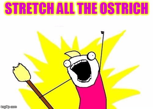 X All The Y Meme | STRETCH ALL THE OSTRICH | image tagged in memes,x all the y | made w/ Imgflip meme maker