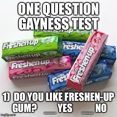 ONE QUESTION GAYNESS TEST; 1)  DO YOU LIKE FRESHEN-UP GUM?    __ YES     __ NO | image tagged in freshen up | made w/ Imgflip meme maker