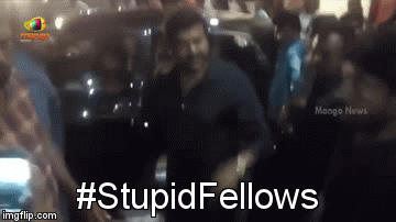 #StupidFellows | image tagged in gifs | made w/ Imgflip video-to-gif maker