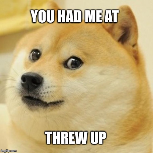 Doge Meme | YOU HAD ME AT THREW UP | image tagged in memes,doge | made w/ Imgflip meme maker