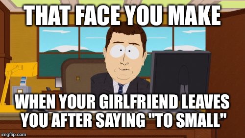 Aaaaand Its Gone Meme | THAT FACE YOU MAKE; WHEN YOUR GIRLFRIEND LEAVES YOU AFTER SAYING "TO SMALL" | image tagged in memes,aaaaand its gone | made w/ Imgflip meme maker