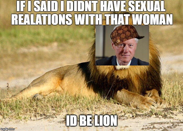 Rub my Clinton | IF I SAID I DIDNT HAVE SEXUAL REALATIONS WITH THAT WOMAN; ID BE LION | image tagged in lion,funny,clinton,sexual,cats,xd | made w/ Imgflip meme maker