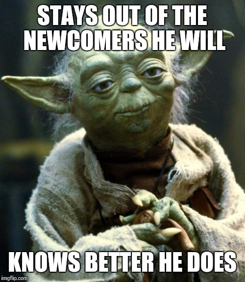 Star Wars Yoda Meme | STAYS OUT OF THE NEWCOMERS HE WILL; KNOWS BETTER HE DOES | image tagged in memes,star wars yoda | made w/ Imgflip meme maker