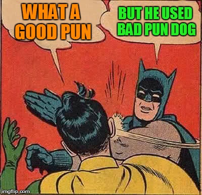 Batman Slapping Robin Meme | WHAT A GOOD PUN BUT HE USED BAD PUN DOG | image tagged in memes,batman slapping robin | made w/ Imgflip meme maker