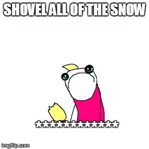 Snowstorm? Really? | SHOVEL ALL OF THE SNOW; ************ | image tagged in memes,sad x all the y,snowflakes,snow day,winter storm,funny memes | made w/ Imgflip meme maker