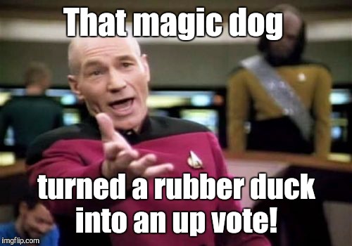 Picard Wtf Meme | That magic dog turned a rubber duck into an up vote! | image tagged in memes,picard wtf | made w/ Imgflip meme maker