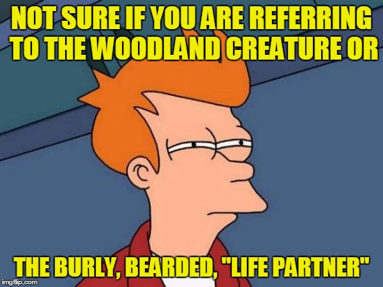 Futurama Fry Meme | NOT SURE IF YOU ARE REFERRING TO THE WOODLAND CREATURE OR THE BURLY, BEARDED, "LIFE PARTNER" | image tagged in memes,futurama fry | made w/ Imgflip meme maker