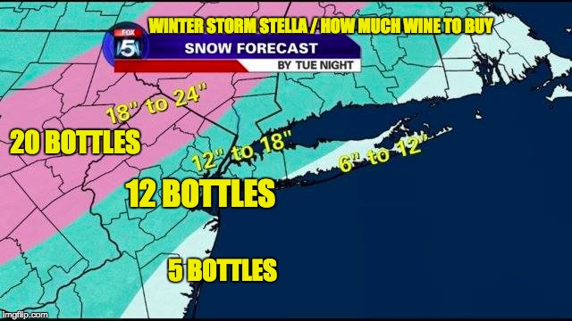 Image result for storm wine how much to buy