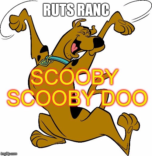 RUTS RANC | made w/ Imgflip meme maker