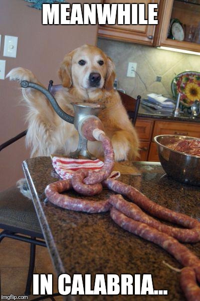 Totally Legit way to make sausages. | MEANWHILE; IN CALABRIA... | image tagged in dog sausages,italian | made w/ Imgflip meme maker
