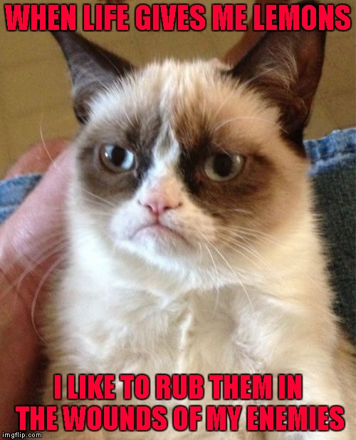 Grumpy Cat Meme | WHEN LIFE GIVES ME LEMONS I LIKE TO RUB THEM IN THE WOUNDS OF MY ENEMIES | image tagged in memes,grumpy cat | made w/ Imgflip meme maker