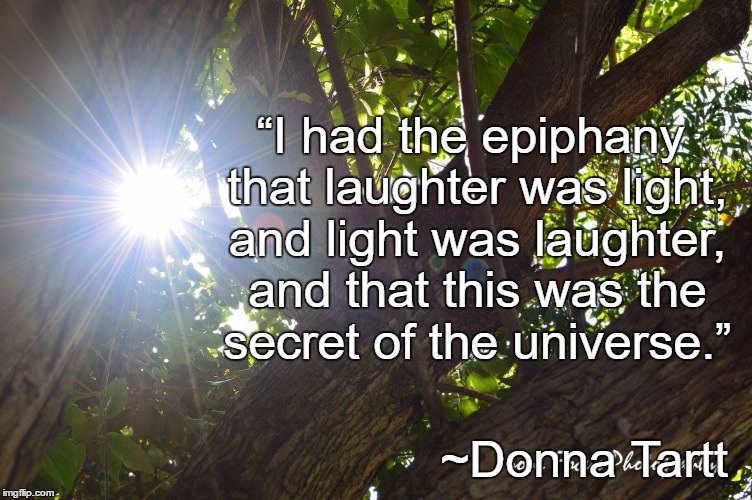 Sunlight | “I had the epiphany that laughter was light, and light was laughter, and that this was the secret of the universe.”; ~Donna Tartt | image tagged in donna tartt,trees,laughter,light,universe,secret | made w/ Imgflip meme maker