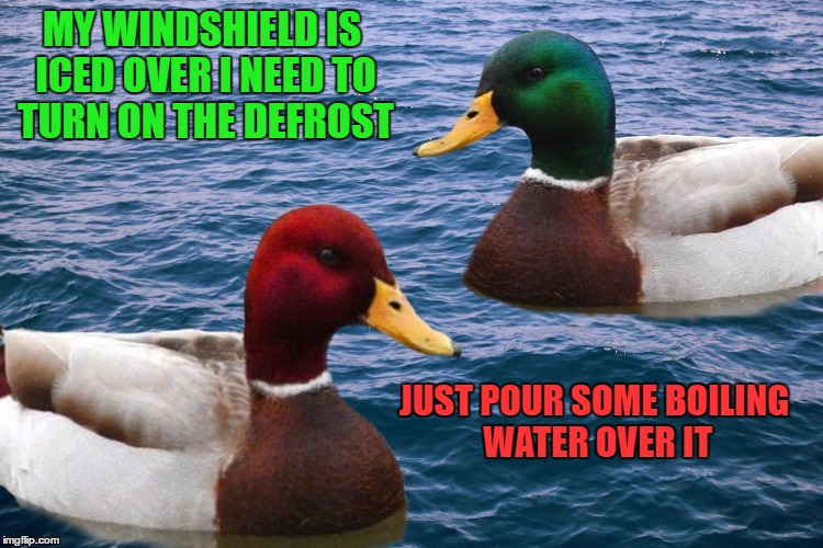 Good Duck/Bad Duck | MY WINDSHIELD IS ICED OVER I NEED TO TURN ON THE DEFROST; JUST POUR SOME BOILING WATER OVER IT | image tagged in good duck/bad duck,lynch1979 | made w/ Imgflip meme maker