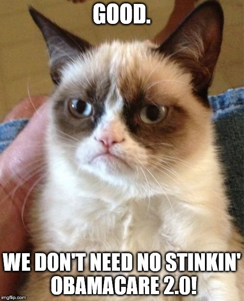 Grumpy Cat Meme | GOOD. WE DON'T NEED NO STINKIN' OBAMACARE 2.0! | image tagged in memes,grumpy cat | made w/ Imgflip meme maker