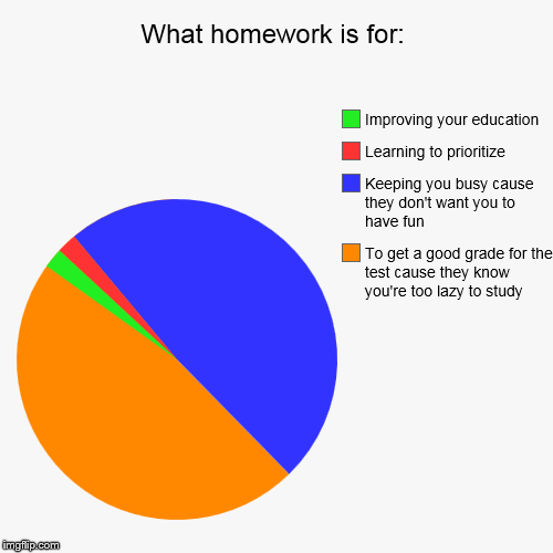 image tagged in funny,pie charts | made w/ Imgflip chart maker