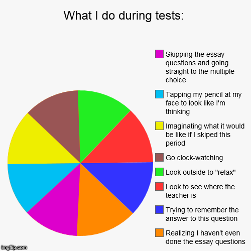 image tagged in funny,pie charts | made w/ Imgflip chart maker