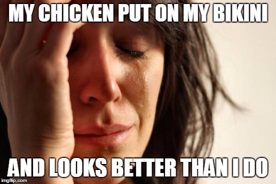 First World Problems Meme | MY CHICKEN PUT ON MY BIKINI AND LOOKS BETTER THAN I DO | image tagged in memes,first world problems | made w/ Imgflip meme maker