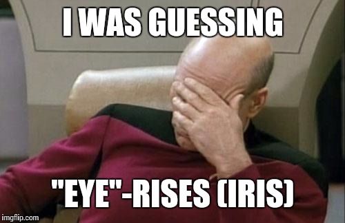 Captain Picard Facepalm Meme | I WAS GUESSING "EYE"-RISES (IRIS) | image tagged in memes,captain picard facepalm | made w/ Imgflip meme maker