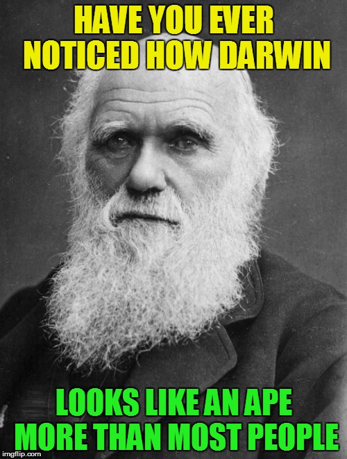 It's uncanny... | HAVE YOU EVER NOTICED HOW DARWIN; LOOKS LIKE AN APE MORE THAN MOST PEOPLE | image tagged in memes,darwin | made w/ Imgflip meme maker