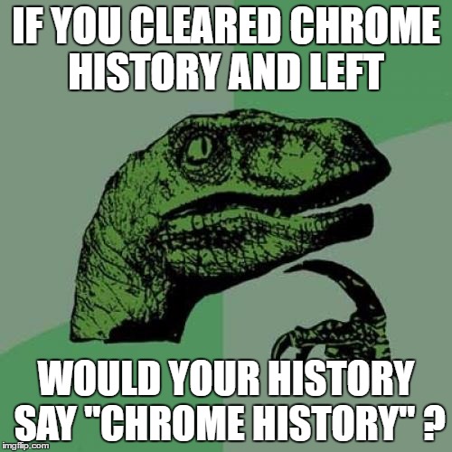 Philosoraptor | IF YOU CLEARED CHROME HISTORY AND LEFT; WOULD YOUR HISTORY SAY "CHROME HISTORY" ? | image tagged in memes,philosoraptor | made w/ Imgflip meme maker