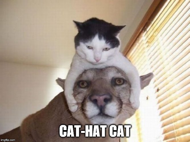 CAT-HAT CAT | made w/ Imgflip meme maker