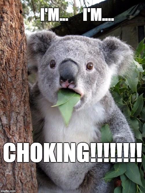 Surprised Koala | I'M...     I'M.... CHOKING!!!!!!!! | image tagged in memes,surprised koala | made w/ Imgflip meme maker