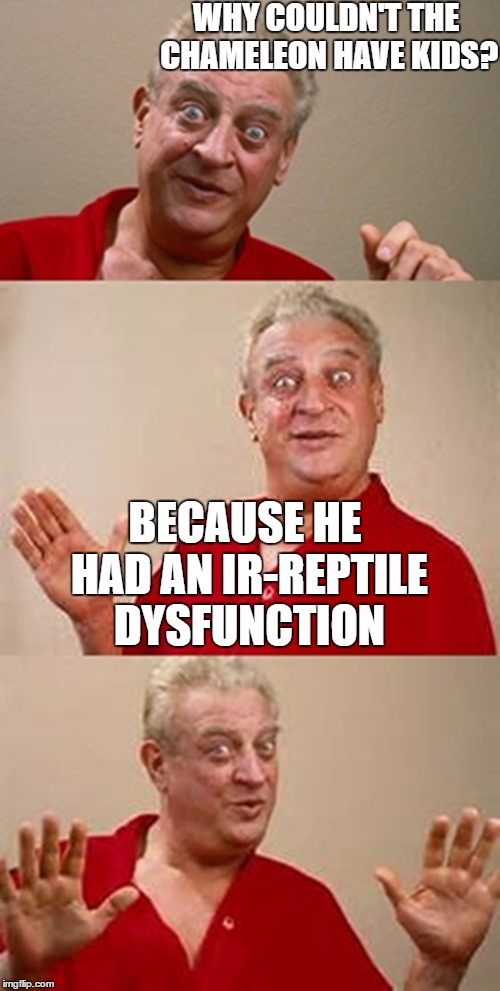 A friend told me this one time | WHY COULDN'T THE CHAMELEON HAVE KIDS? BECAUSE HE HAD AN IR-REPTILE DYSFUNCTION | image tagged in bad pun dangerfield | made w/ Imgflip meme maker