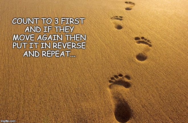 repeat | COUNT TO 3 FIRST AND IF THEY MOVE AGAIN THEN PUT IT IN REVERSE AND REPEAT... | image tagged in steps | made w/ Imgflip meme maker