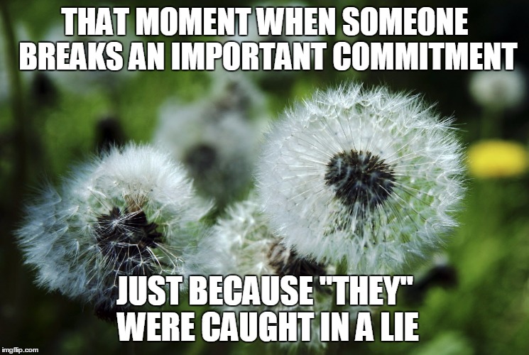 THAT MOMENT WHEN SOMEONE BREAKS AN IMPORTANT COMMITMENT; JUST BECAUSE "THEY" WERE CAUGHT IN A LIE | made w/ Imgflip meme maker