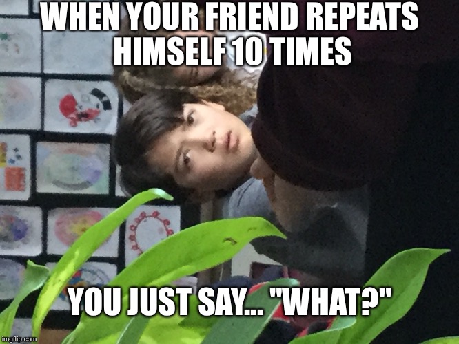 WHEN YOUR FRIEND REPEATS HIMSELF 10 TIMES; YOU JUST SAY... "WHAT?" | image tagged in say what | made w/ Imgflip meme maker