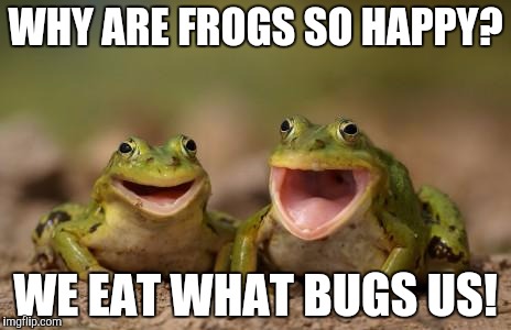 two happy frogs  | WHY ARE FROGS SO HAPPY? WE EAT WHAT BUGS US! | image tagged in two happy frogs | made w/ Imgflip meme maker
