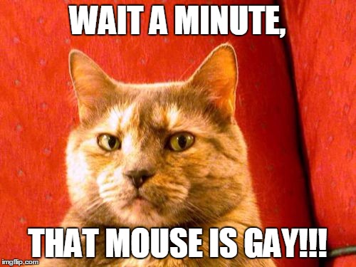 Suspicious Cat | WAIT A MINUTE, THAT MOUSE IS GAY!!! | image tagged in memes,suspicious cat | made w/ Imgflip meme maker