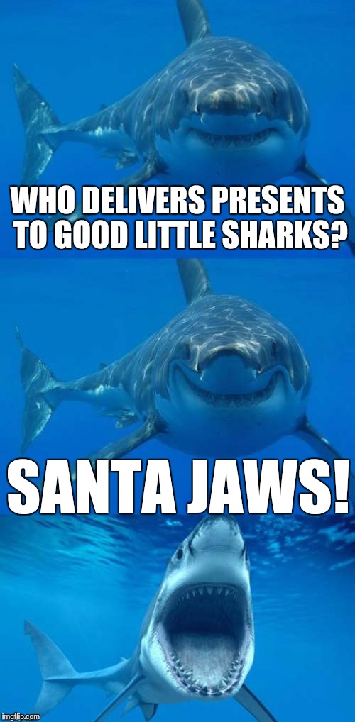 Bad Shark Pun  | WHO DELIVERS PRESENTS TO GOOD LITTLE SHARKS? SANTA JAWS! | image tagged in bad shark pun | made w/ Imgflip meme maker