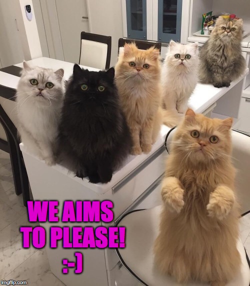 WE AIMS TO PLEASE! :-) | made w/ Imgflip meme maker